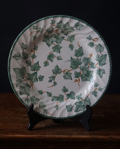 Barratts ivy dinner plates - barratts, set