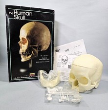 HUMAN SKULL LINDBERG 1984