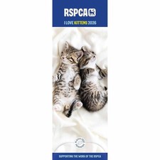 RSPCA, I Love Kittens Slim Calendar 2026 - Animal - Month To View