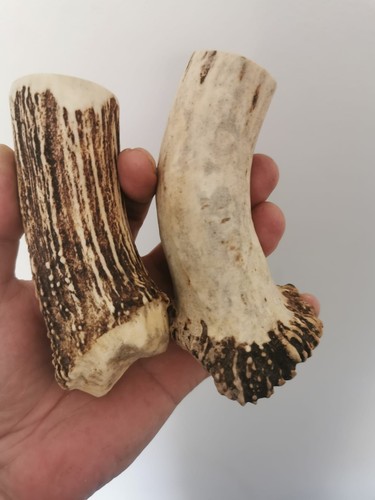387 elk horn knife - horn,