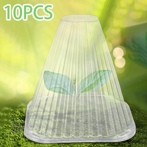 10pcs garden cloche plant dome - cloche,
