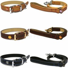 Luxury Leather Dog Collar or