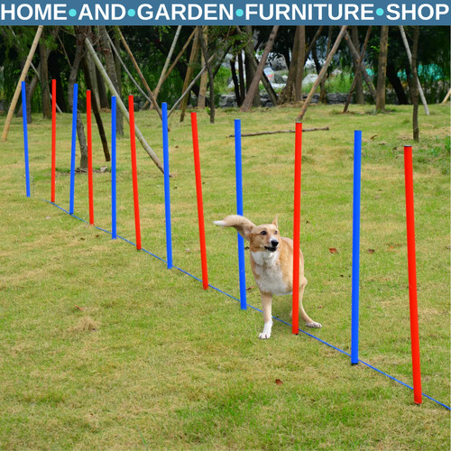Pet training set equipment - pet,