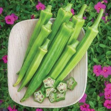Okra Baby Bubba Dwarf Ladies