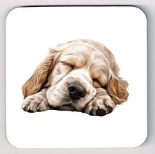 Sleeping Laying Down Clumber