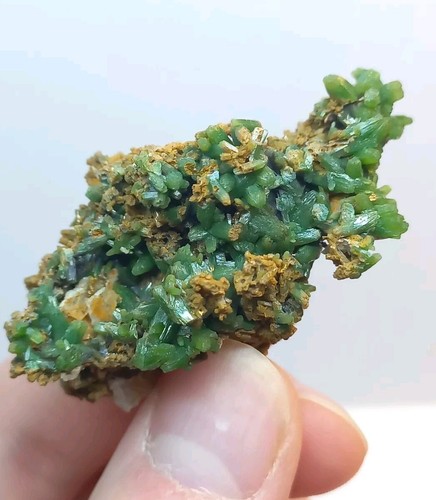 Green pyromorphite crystals - crystals,