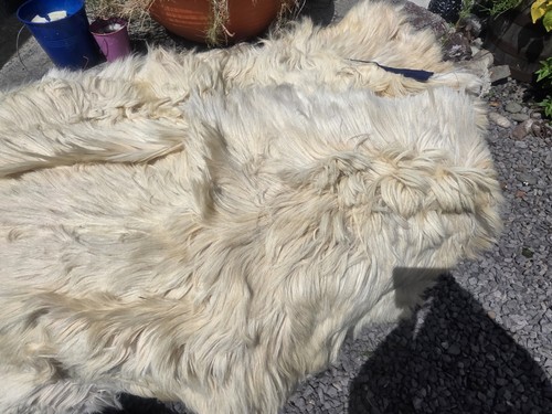 Goat skin rug genuine - goat,