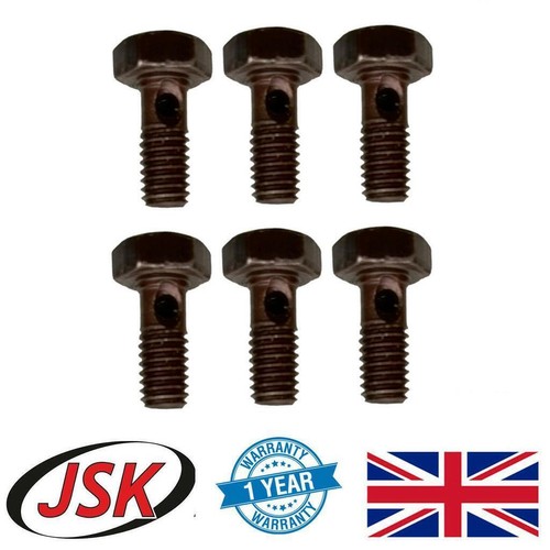 Injector banjo screw set - screw,