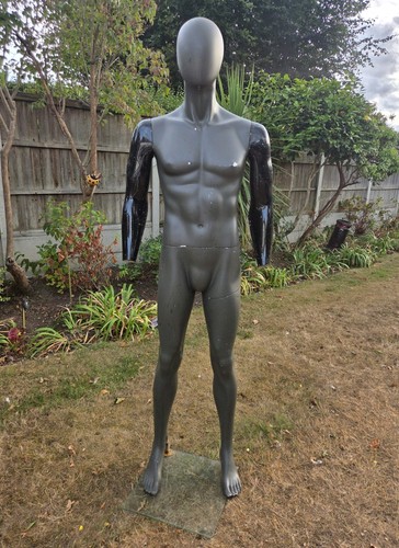 Full size male fibreglass shop - male,