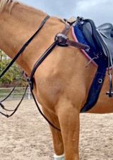 5 point Breastplate Martingale