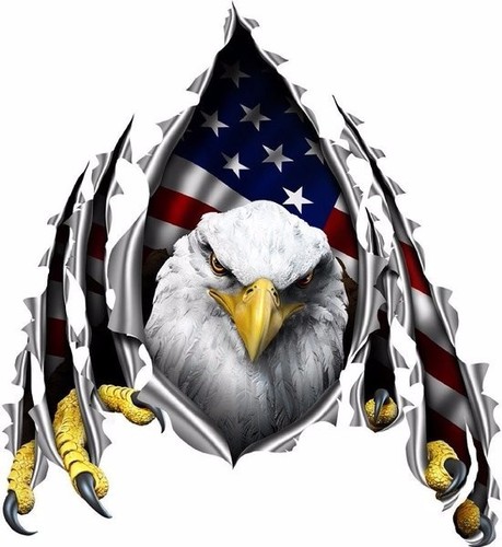 American flag eagle rip - , decal