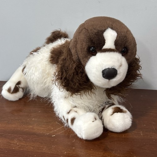 Ogilvy springer spaniel - ogilvy,