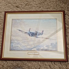 Framed Print Of Kevin