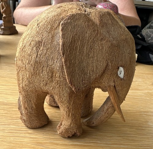 Coconut husk hand carved - husk,
