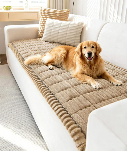 Couch cover for dogs - couch,
