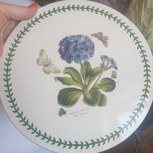Portmeirion placemats 6 - portmeirion, x