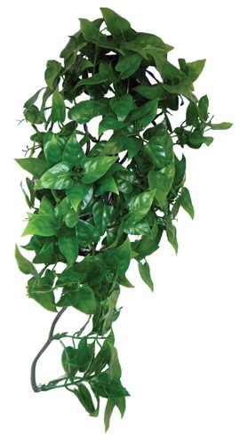 Reptile vivarium realistic - reptile,