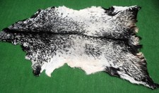 New Goat hide Rug Hair on Area Rug Size 40"x26" Animal Leather Goat Skin 158