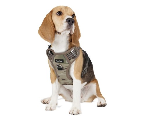 Funfox dog harness - harness, no