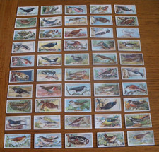 Full Set OGDENS BRITISH BIRDS
