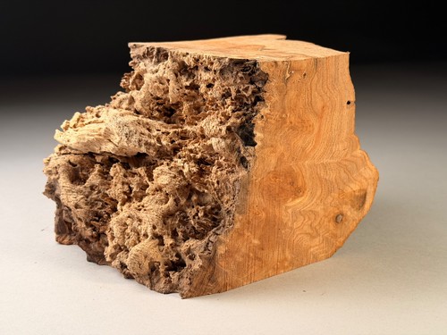 Burr elm live edge resin - burr,