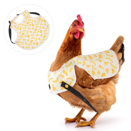 Adorable chicken apron - ,