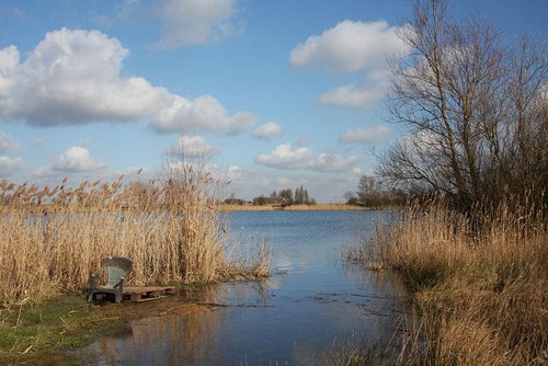 Photo 6x4 block fen - 6x4,
