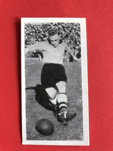 Adolf subbuteo 39 billy - adolf,