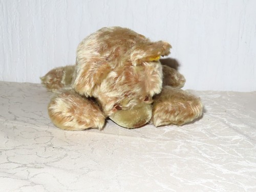 Steiff animal bear - steiff, "floppy"