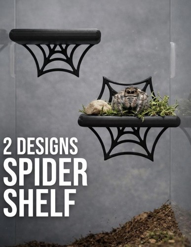 Jumping spider shelf - spider, |