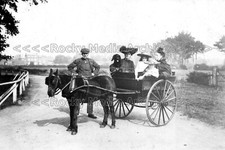 qhh-60 Street View with Horse