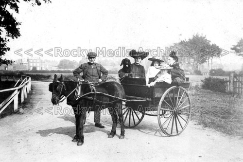 Qhh street view with - with, horse