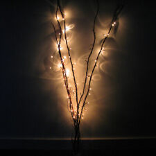 White Twig Lights