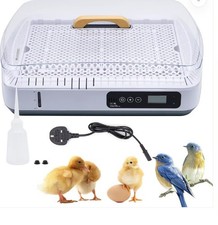 Eggs digital incubator - 35,