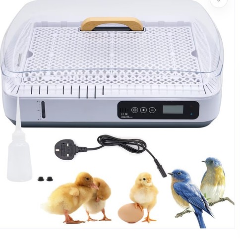 Eggs digital incubator - 35,