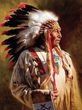 Native american indian - native,