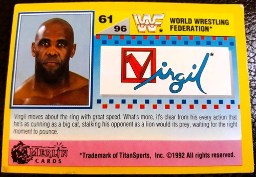 Wwf summer slam 1992 - summer,