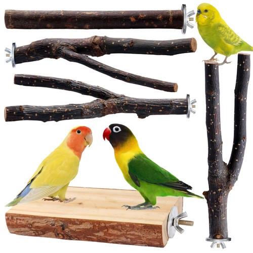 Bird toys parakeet - toys, perch