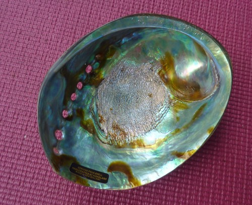 New zealand paua shell dish - new,