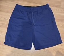 Mens Navy Champion Shorts Size Large