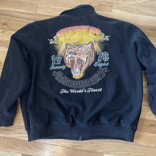 Rare hand painted TIGER