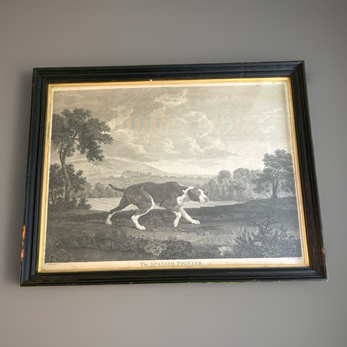 George stubbs spanish pointer - stubbs,