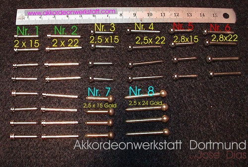 Bellows nails accordion - bellows,