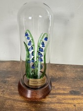 Suffolk Studio Glass Bluebells Flowers Glass Display Dome Botany Horticulture 