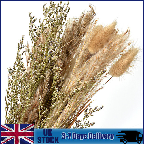 15pcs dried flower bunch reed - flower,