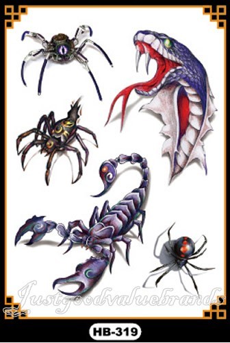 Black widow spiders - widow,