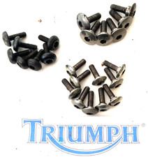 TRIUMPH DAYTONA 955i SS SIDE