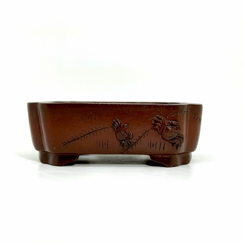 Premium yixing zisha - zisha, bonsai