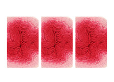 Scheepjes Whirl 4 Ply Value