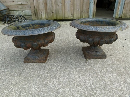 Great looking pair - great,